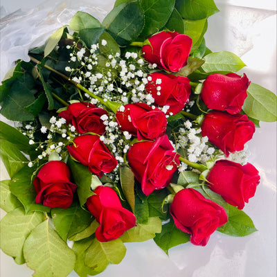 Graduation Collection