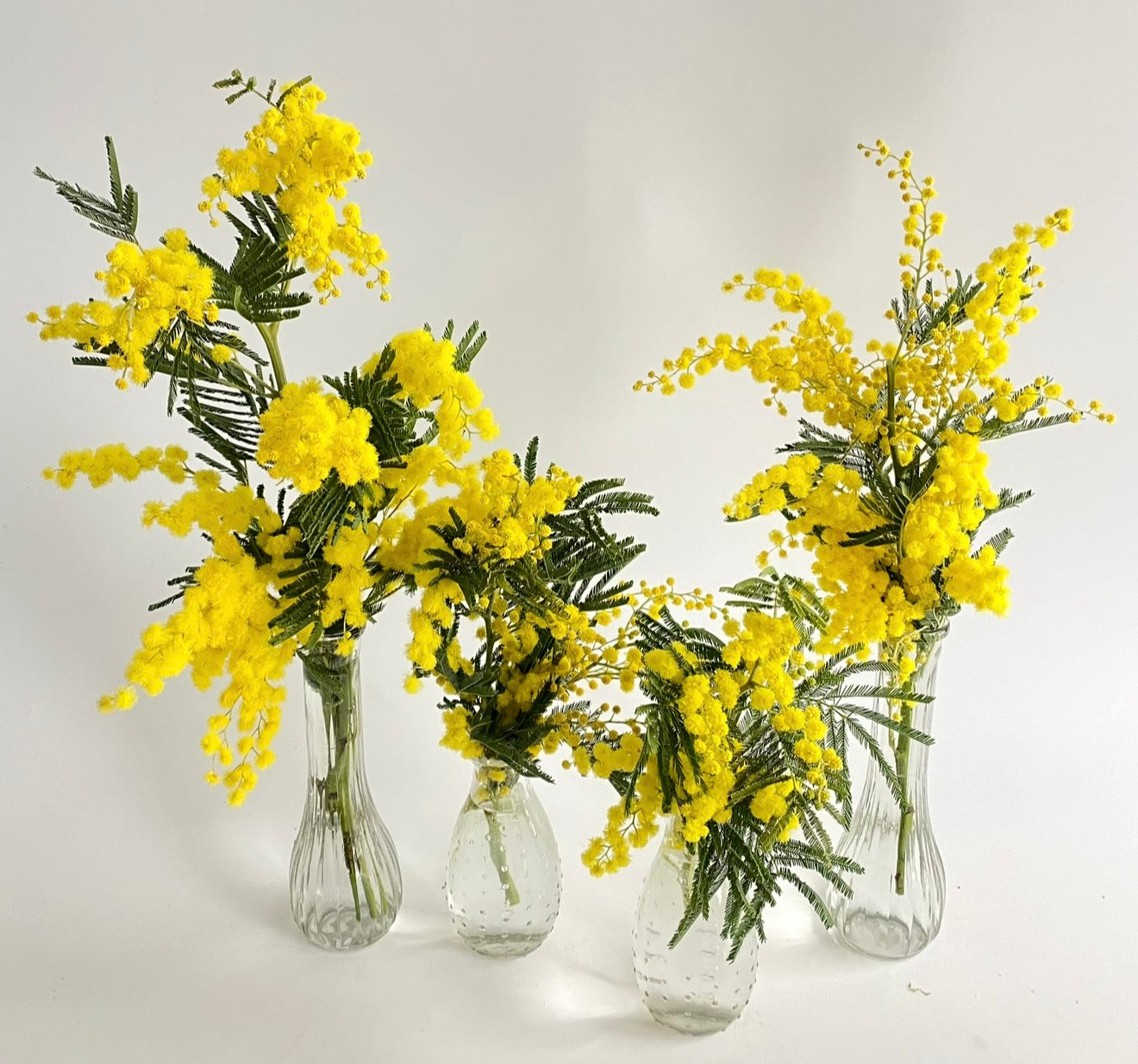 Beautiful budvases filled with bright yellow mimosa flowers