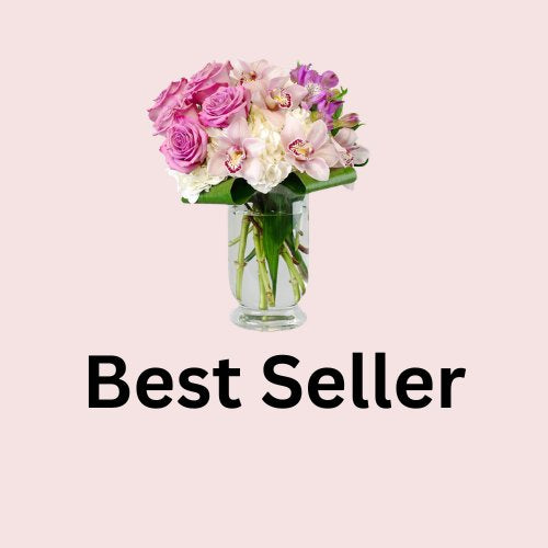 Best Sellers