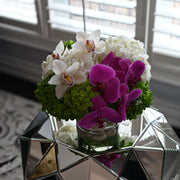 Bloom Society