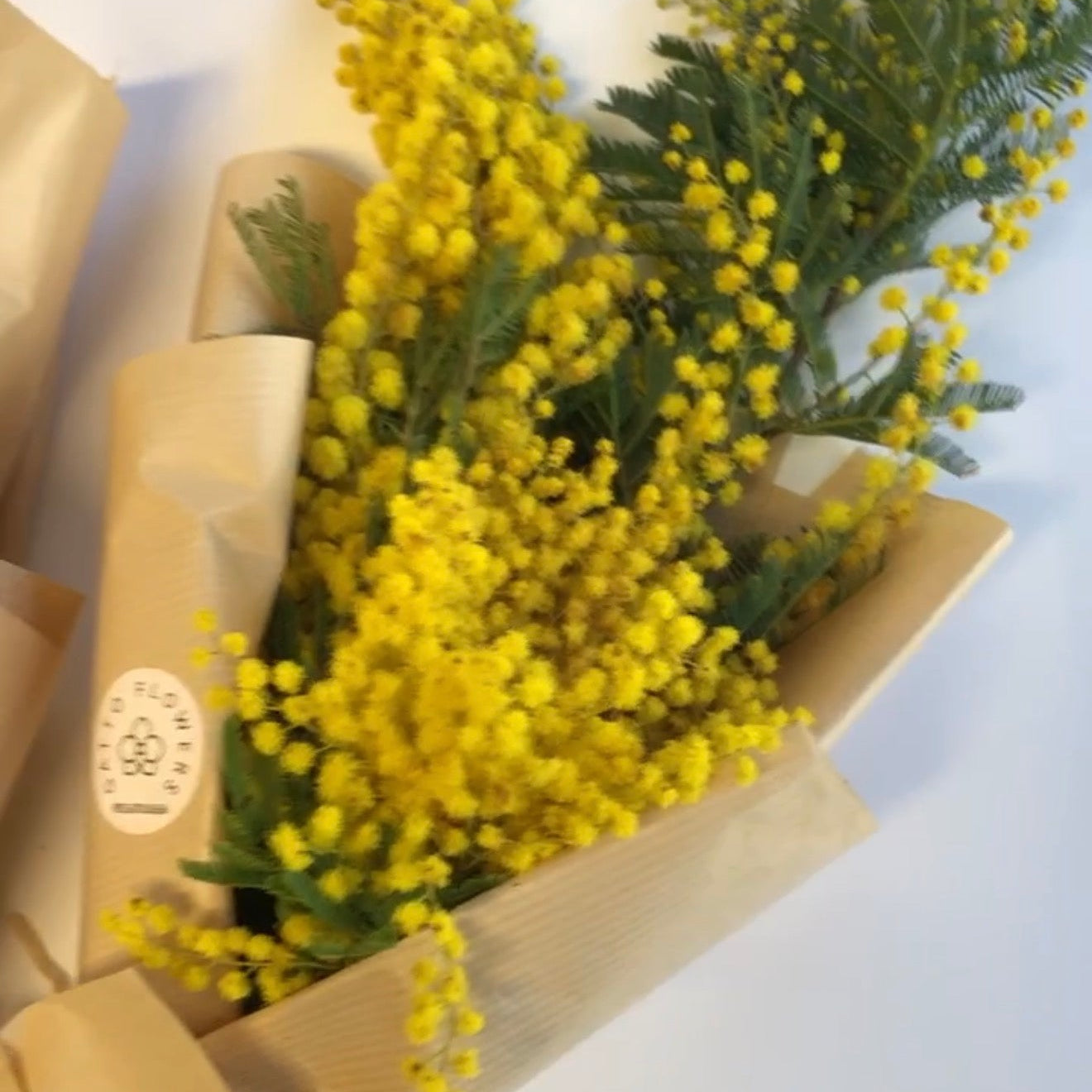 Women’s Day Hand-Tied