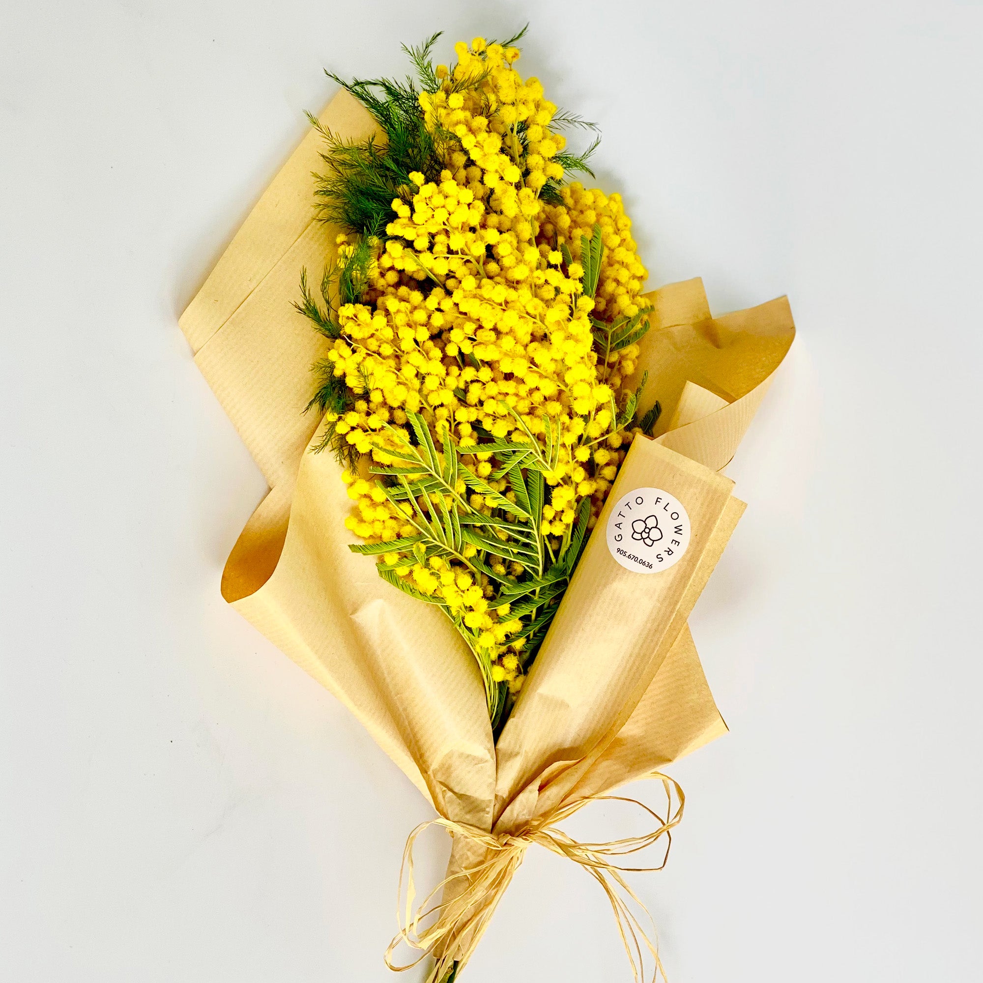 Women’s Day Hand-Tied