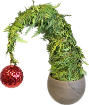 The Grinch